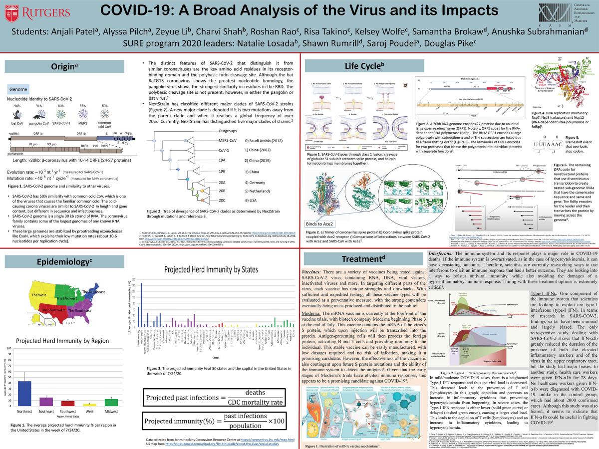 research project on covid 19